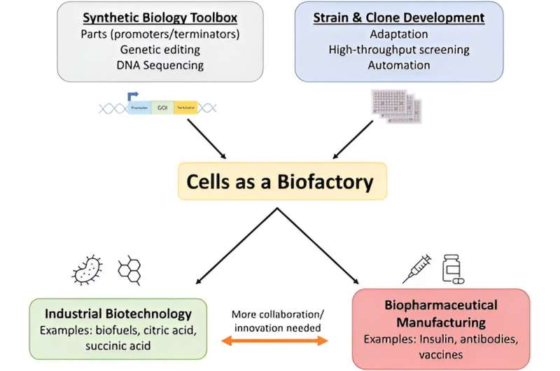 Advancing technologies for using cells as biofactories