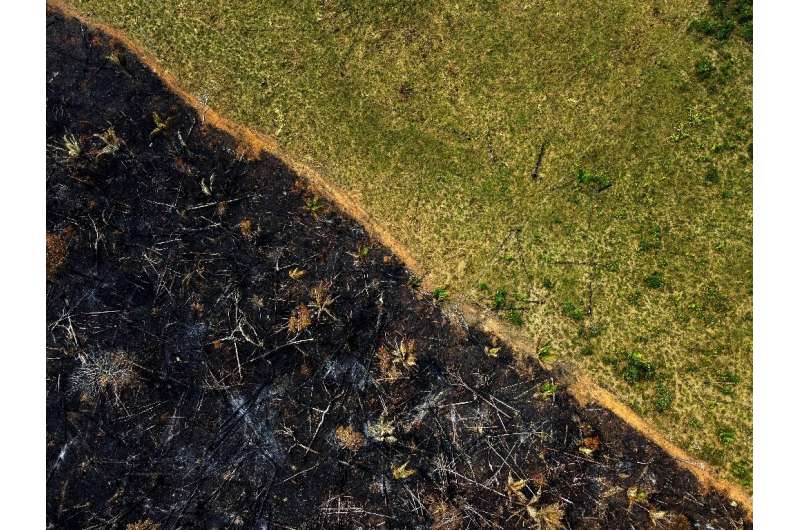 Aerial view of a burnt area in Labrea, southern Amazonas State, Brazil, on September 17, 2022