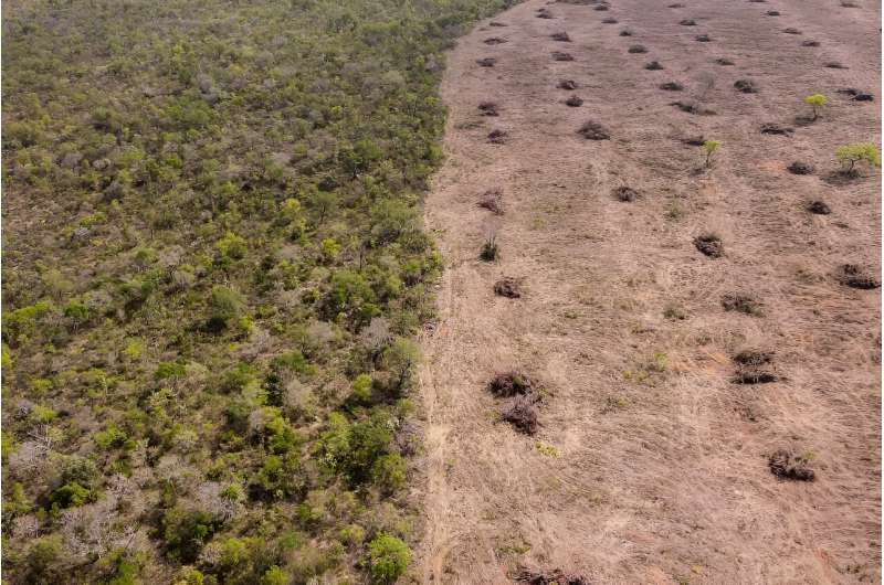 Aerial view of deforestation in west Bahia state, Brazil