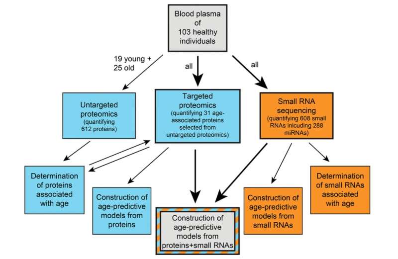 Age prediction from human blood plasma using proteomic and small RNA data: A comparative analysis
