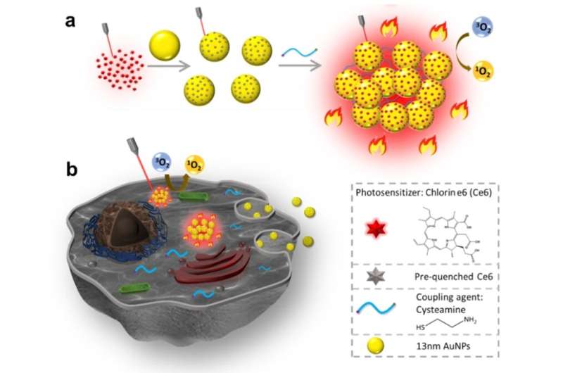 Aggregated gold nanoparticle conjugates for multimodal imaging and synergistic phototherapy