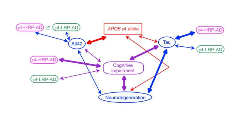 Aging | Associations of the APOE ε2 and ε4 alleles and polygenic profiles comprising APOE-TOMM40-APOC1 variants with Alzheimer's