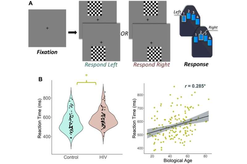 Aging | Epigenetic aging is associated with aberrant neural oscillatory dynamics serving visuospatial processing in people with 