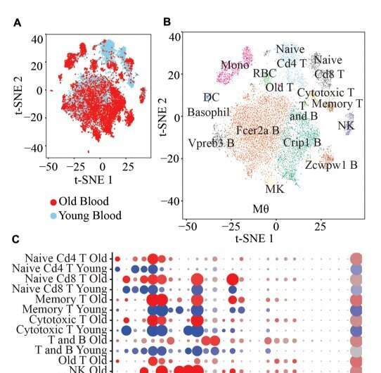 Aging | Single-cell transcriptomics of peripheral blood in the aging mouse