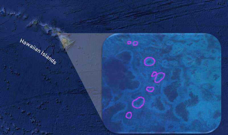 New tool remote monitoring of global reef health
