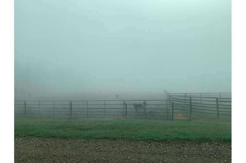 Загоны владельца ранчо Альберты Би Джей Фукса пустуют, а воздух наполняется дымом после того, как он был вынужден перегнать свой скот в безопасное место из-за дикой природы.