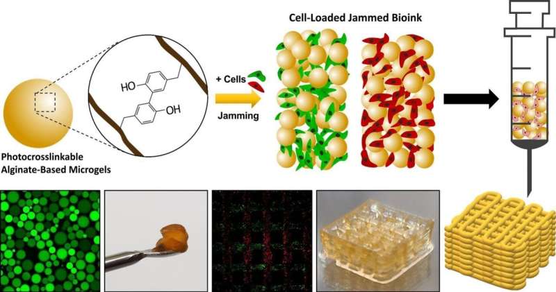 Algae combined with visible light may create ink for cultured meat