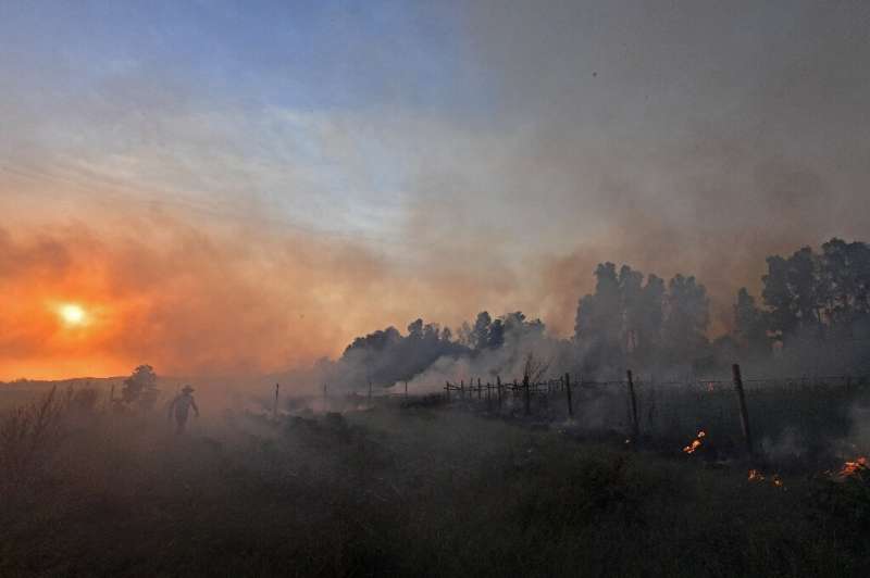 Algeria has mobilised thousands of firefighters and hundreds of firetrucks to fight the wildfires