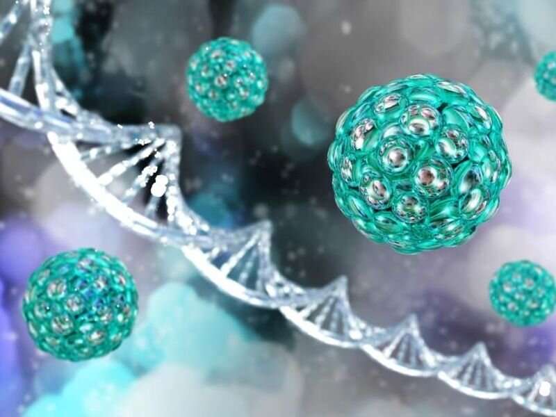 Allogeneic stem cell transplant feasible for leukemia in elderly patients