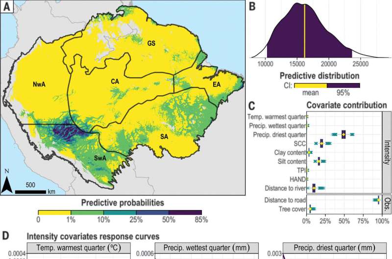 Amazon rain forest hides thousands of records of ancient indigenous communities under its forest canopy, says new study