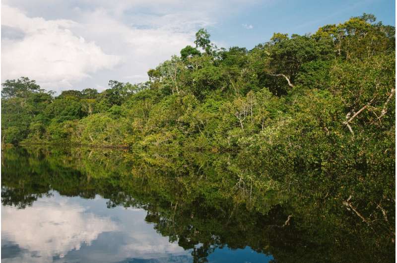 тропические леса Амазонки