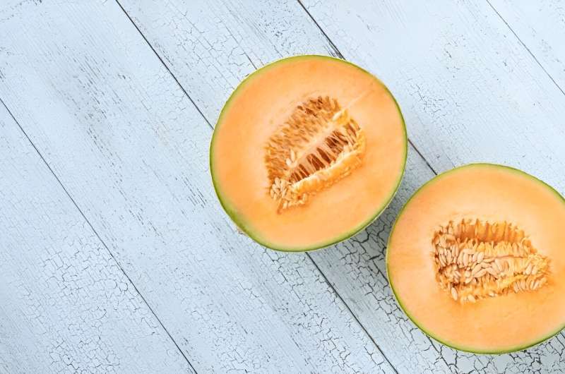 Amid salmonella outbreak, consumers should avoid unknown brands of cantaloupe