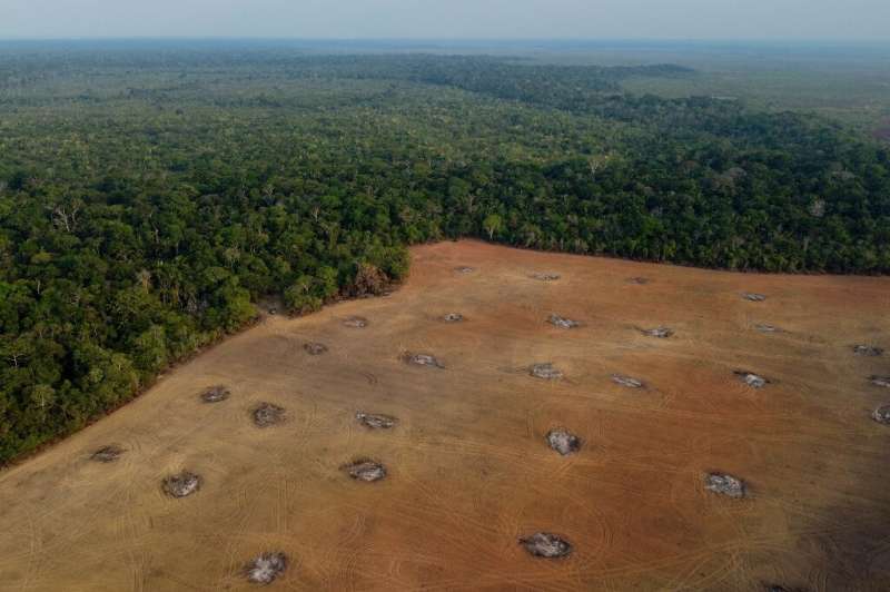 An aerial view of a massive patch of land cleared of trees in Brazil's eastern Amazon