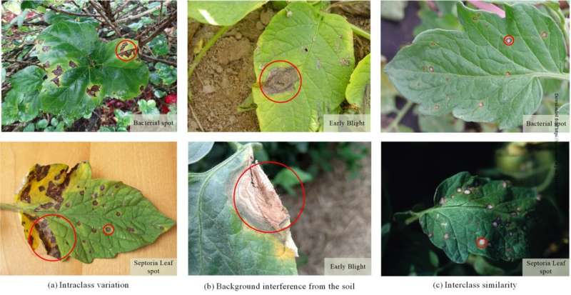 Решение на основе искусственного интеллекта для точной диагностики болезней листьев томатов