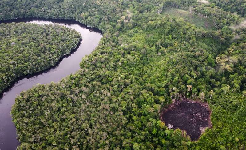 An area in Colombia which has been been the target of a deforestation project linked to carbon credits