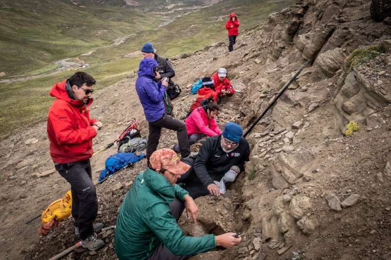 An image released by the Chilean Antarctic Institute shows scientists working at a fossil site in February 2020 at Cerro Guido i