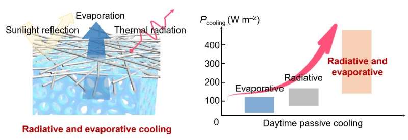 An integrated approach to cool: how evaporation and radiation can cool the world
