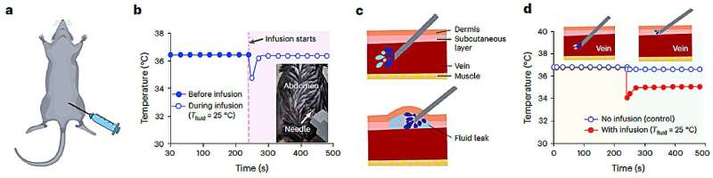 An intravenous needle that irreversibly softens via body temperature on insertion