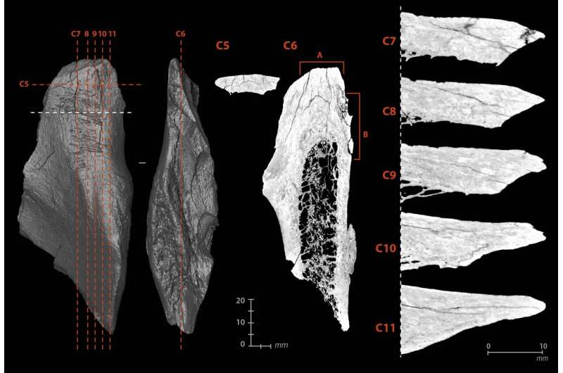 An unseen industry: when Neanderthals turned bone into tool