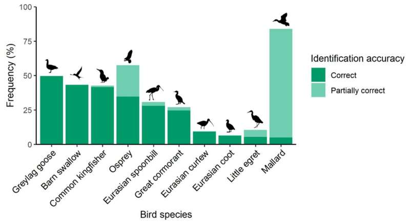 Analysis suggests secondary school students have difficulty identifying bird species