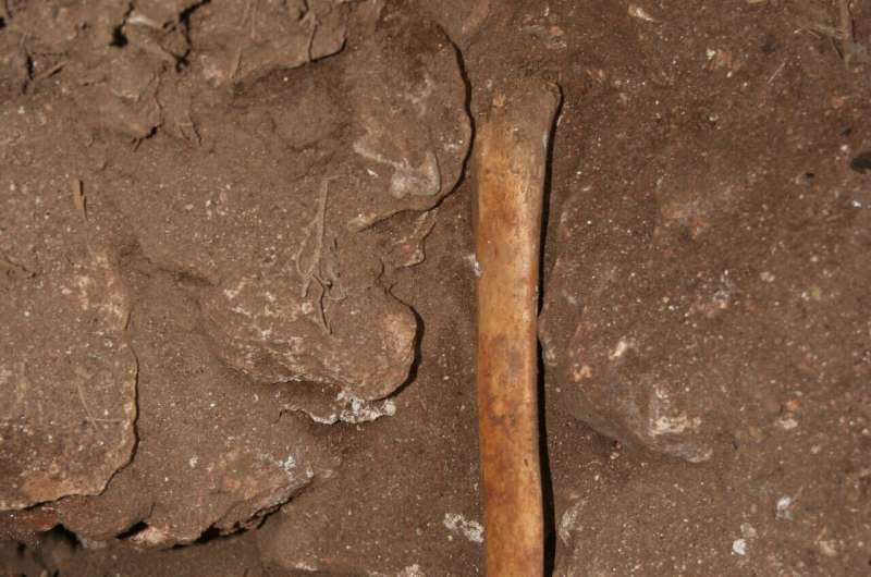 Ancient human remains buried in Spanish caves were subsequently manipulated and utilized