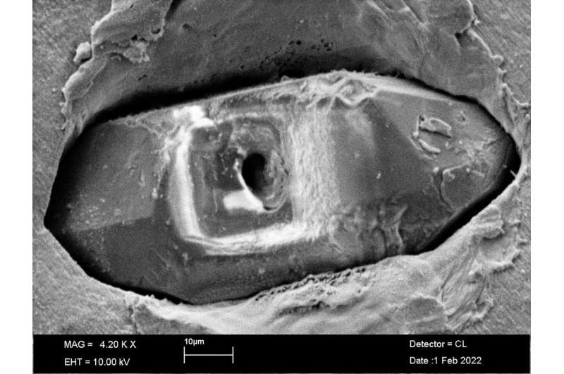 Ancient magma reveals signs of life