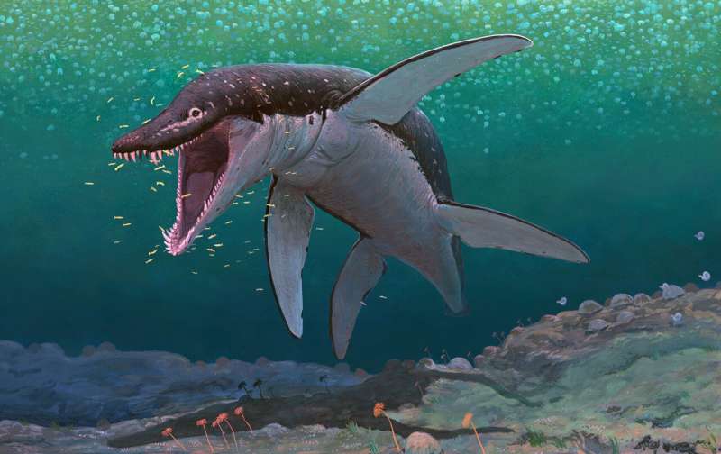 Ancient sea monster remains reveal oldest mega-predatory pliosaur