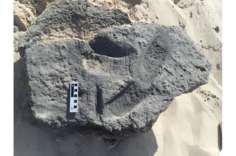 Ancient shoes: tracks on a South African beach offer oldest evidence yet of human footwear