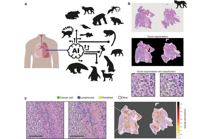 Animal kingdom–wide AI tool could help unravel cancer complexity