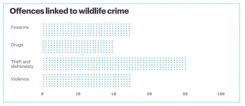 Animals at risk as wildlife crime falls down the list of policing priorities