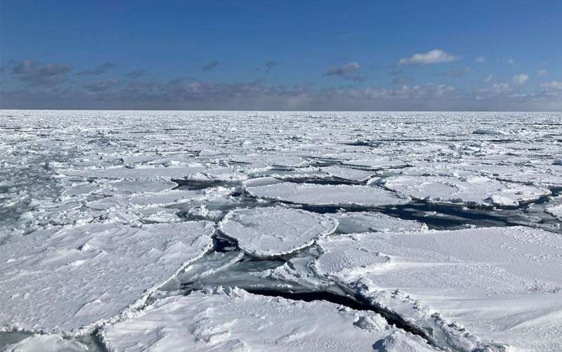 Annual changes in sea ice linked to ocean-atmosphere interactions
