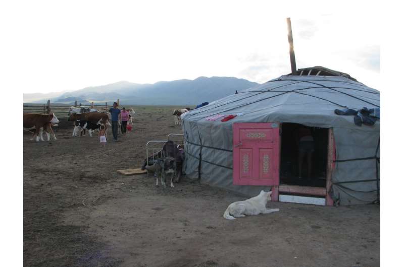 Anthropologist examines nomadic pastoralists in Russia