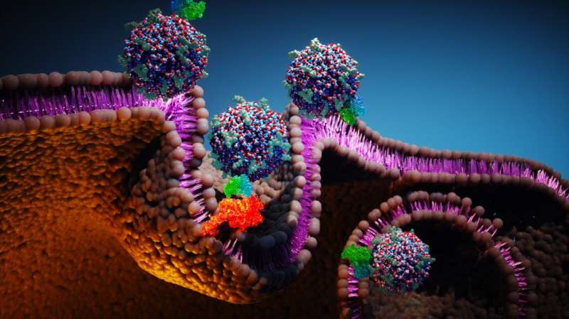 Antibody fragment-nanoparticle therapeutic eradicates cancer