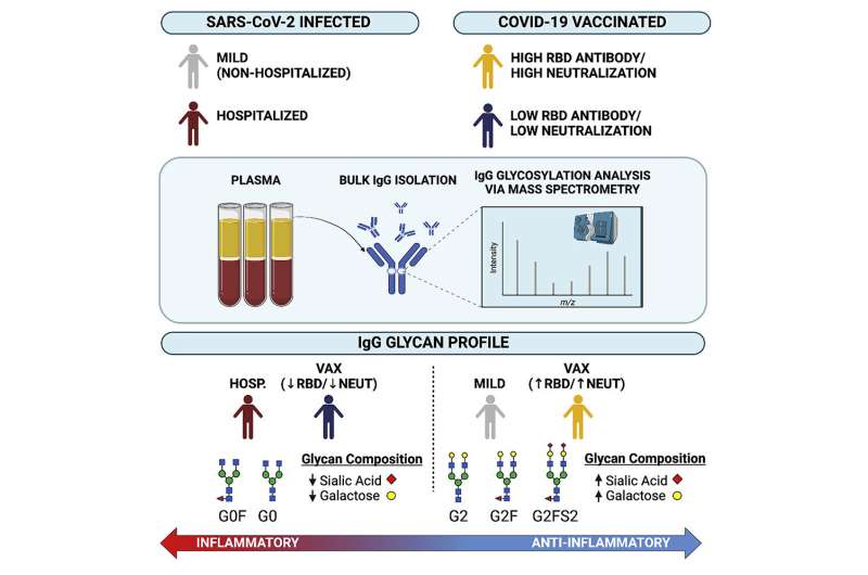 Antibody properties in plasma can predict COVID-19 severity