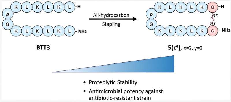 Antimicrobial peptides with improved stability