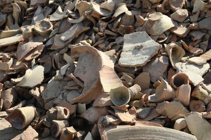 Archaeologists found large numbers of pottery shards alongside fish and aminal bones they believe are the remains of bowls used 