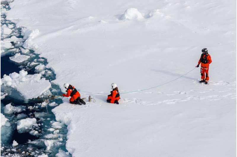 Arctic ice algae heavily contaminated with microplastics