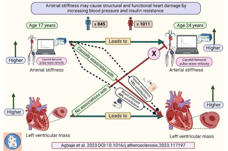 Arterial stiffness may cause and worsen heart damage among adolescents