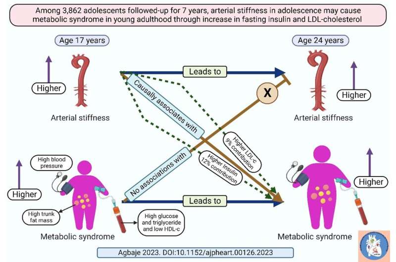Arterial stiffness may cause metabolic syndrome in adolescents via an increase in fasting insulin and LDL cholesterol