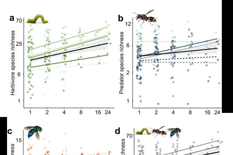 Arthropods in high-diversity forests contribute to improved productivity