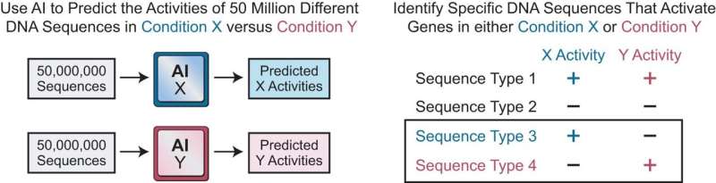 Искусственный интеллект катализирует исследования активации генов и обнаруживает редкие последовательности ДНК