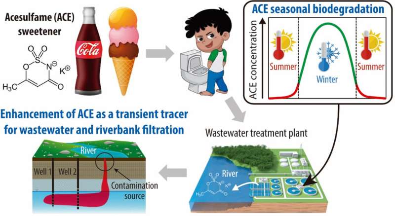 Artificial sweetener as wastewater tracer