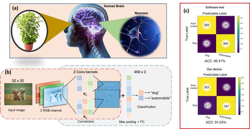 Artificial visual perception nervous system using solution-processable MoS2-based in-memory light sensor