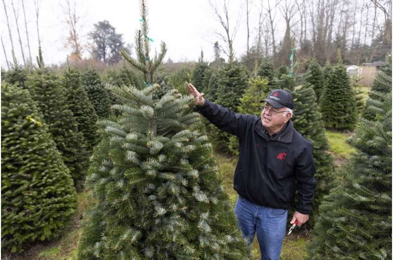 As climate warms, that perfect Christmas tree may depend on growers' ability to adapt