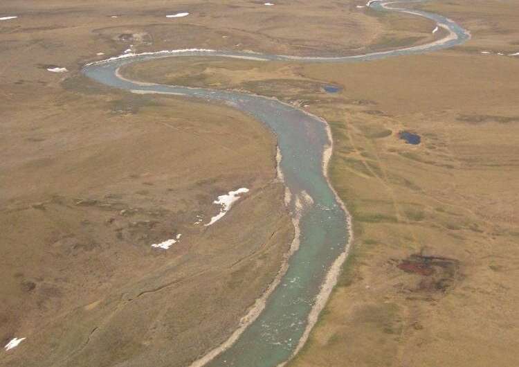 As rising temperatures affect Alaskan rivers, effects ripple through Indigenous communities