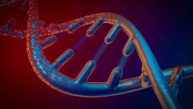 ASU News New study on DNA transcription uncovers links to neurodegenerative disease