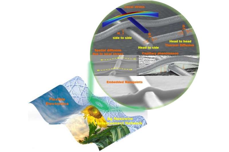 Atomic flow of nanojoints in the Ag nanowires interconnect network for flexible electronics and transparent electrode industry