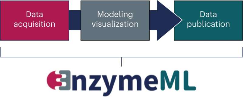 Automated data exchange format "EnzymeML" creates transparency in enzymatic experiment