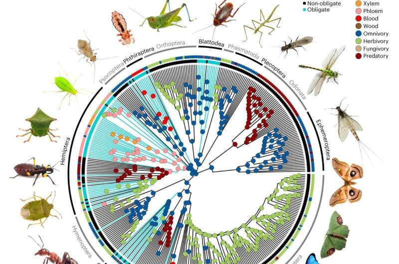 Bacteria are vital for the diversity and survival of insects