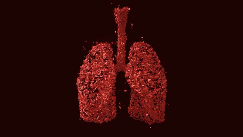 Bacterial colonisation of the lung also depends on the host genome